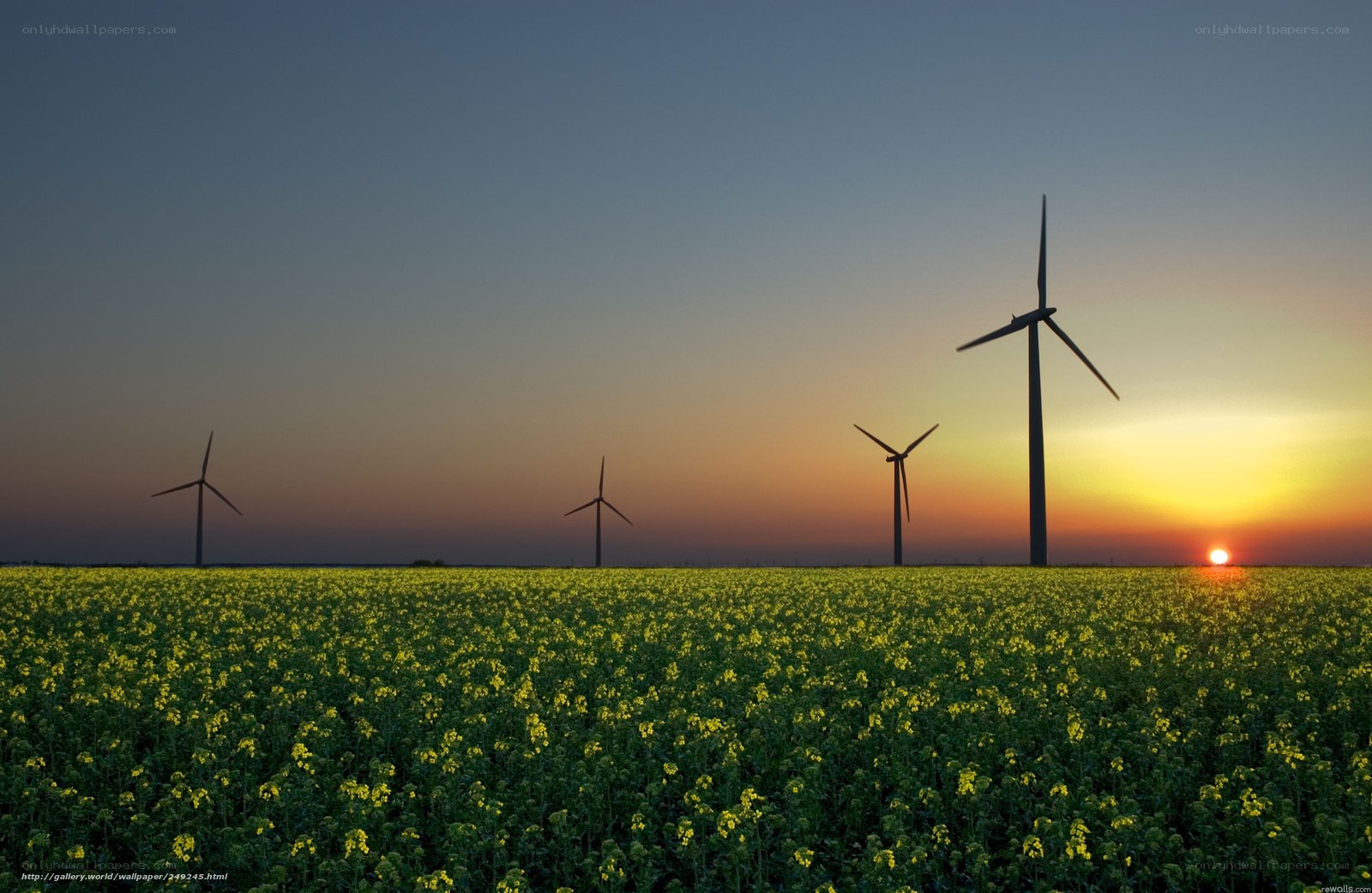 Wind turbines at sunset over a field