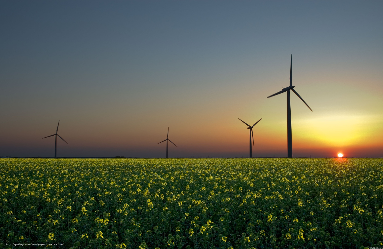 Wind turbines at sunset over a field