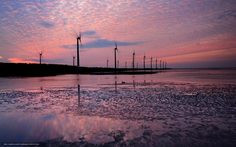 Wind Turbines at Sunset — Pink, Serene, Photograph