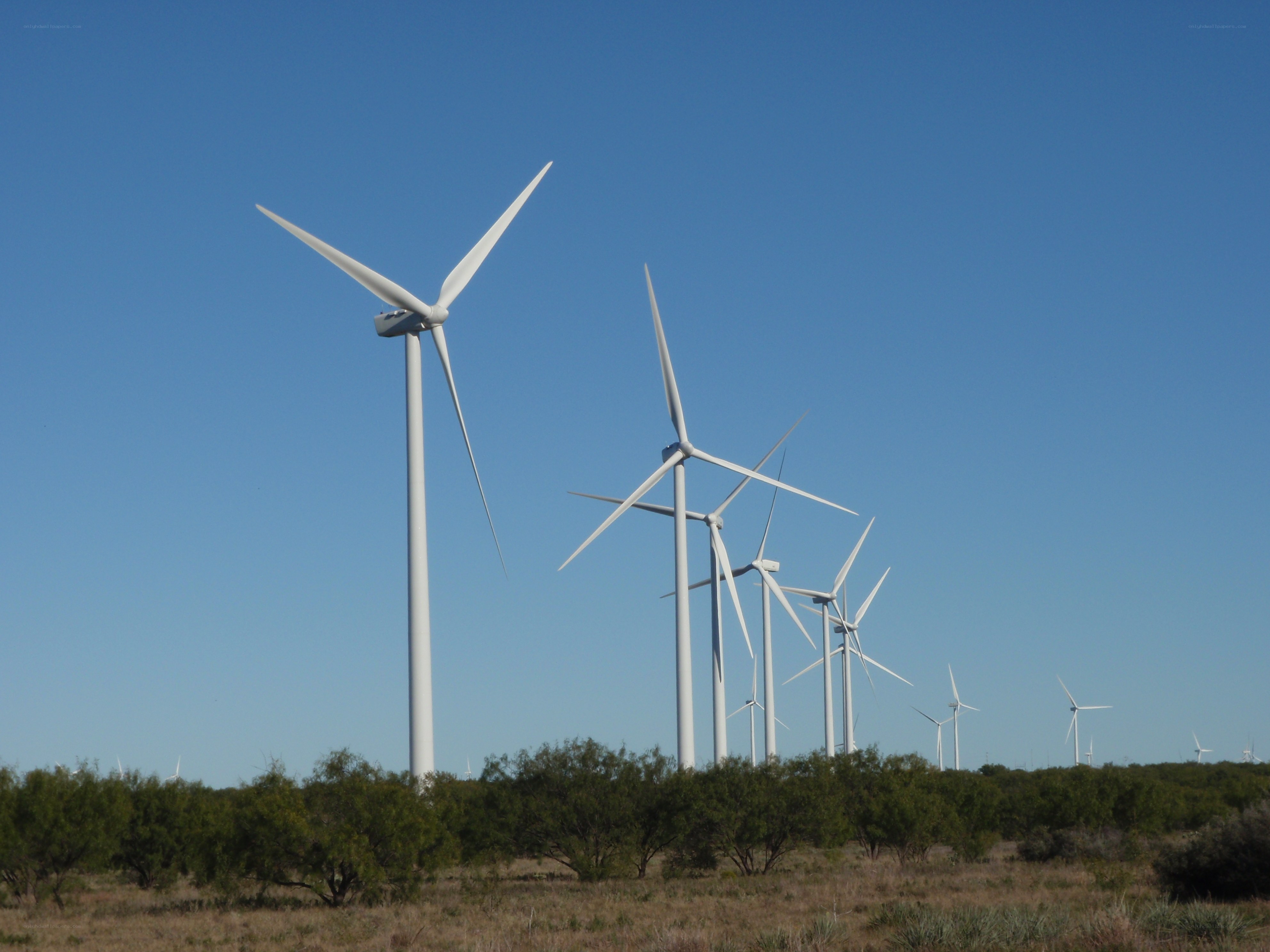 Wind turbines in a field