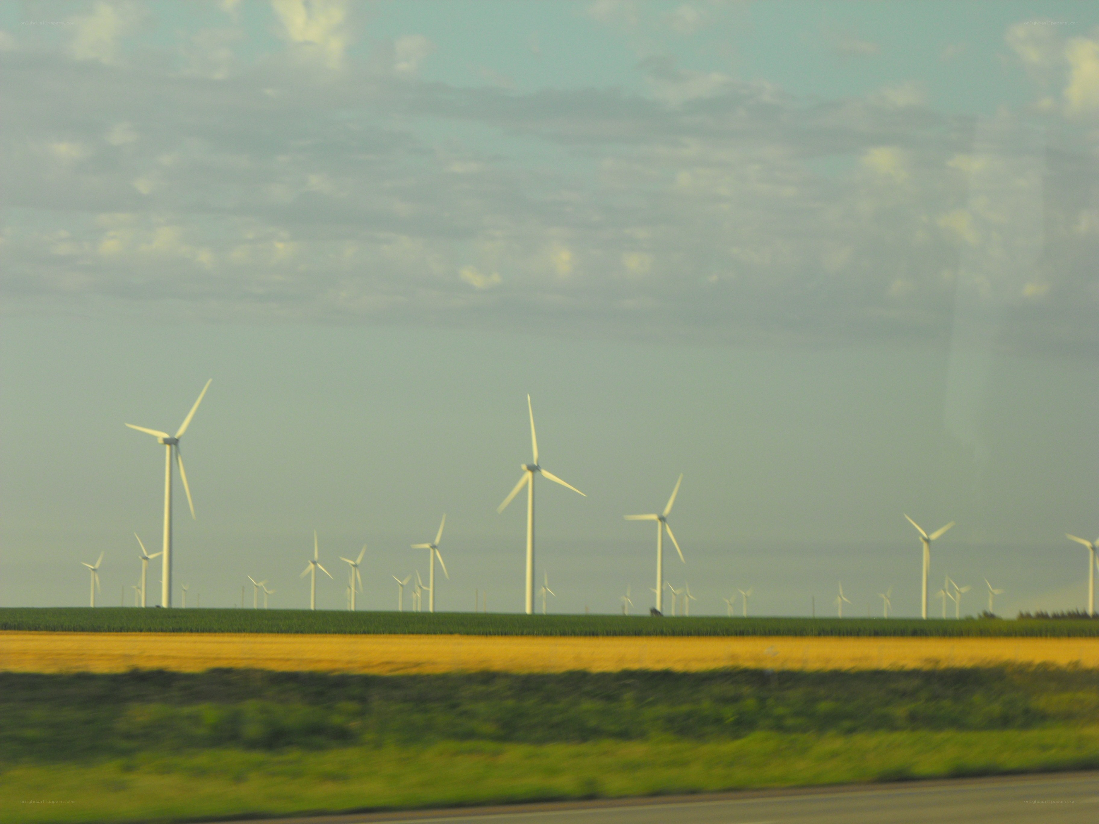Wind turbines in a field