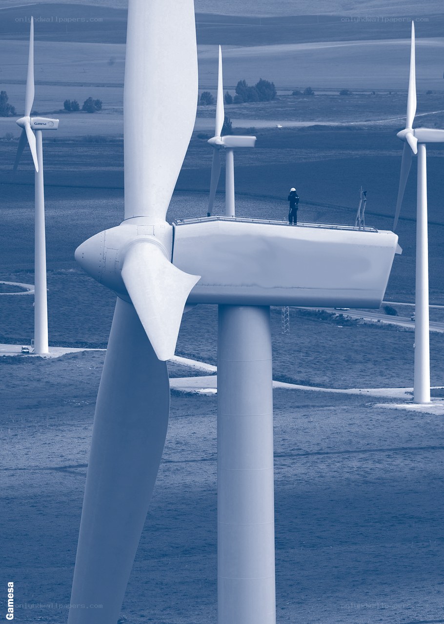 Wind turbines in a field
