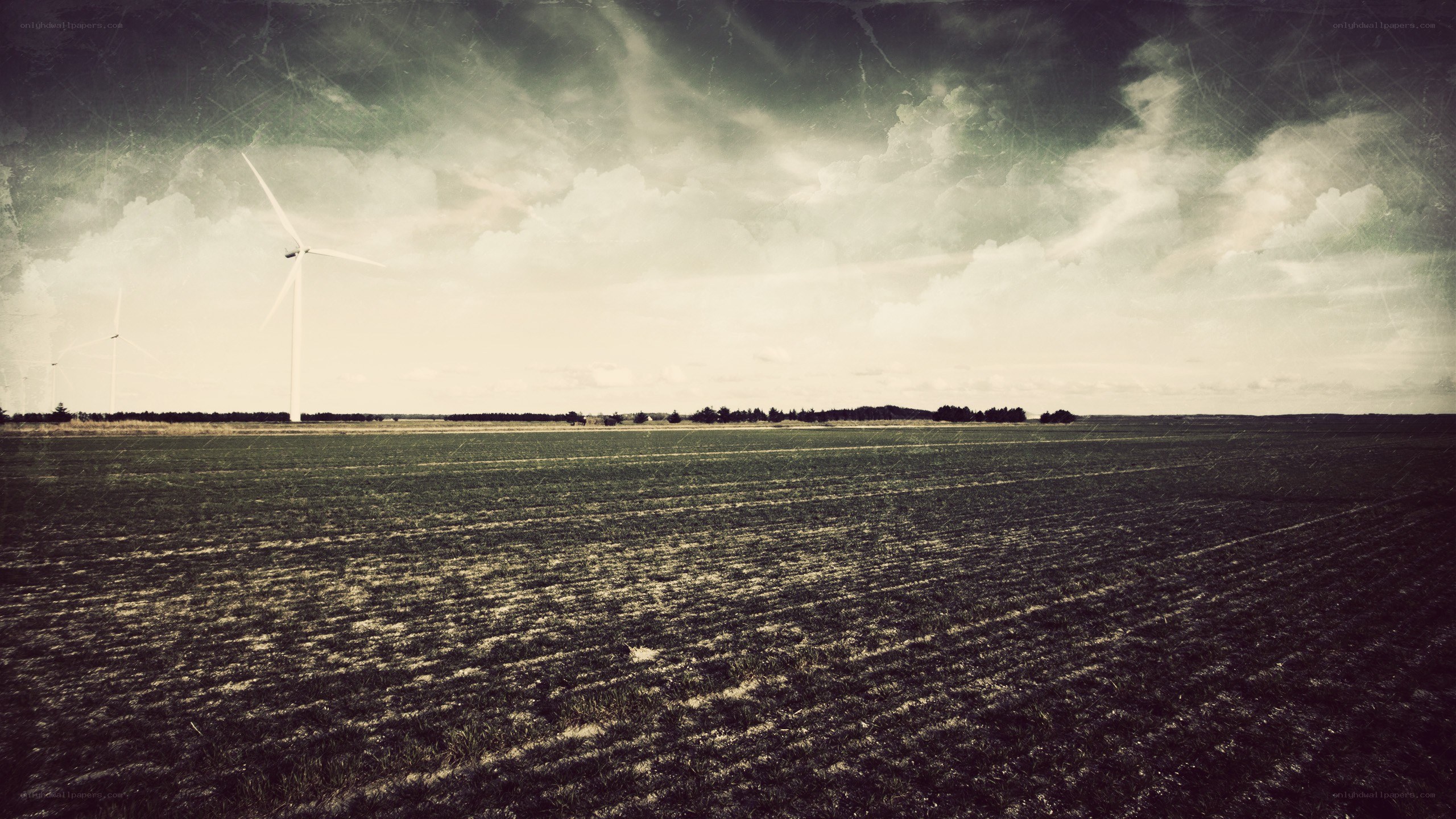 Wind turbines in a field