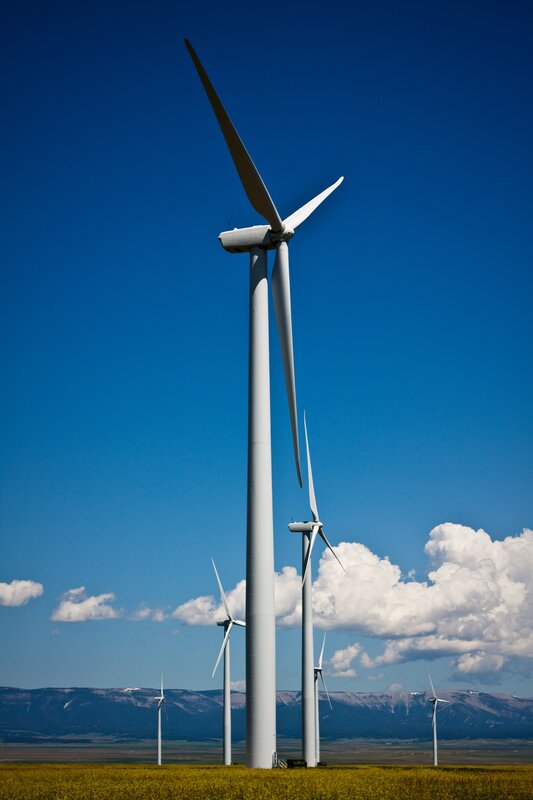 Wind turbines in a field