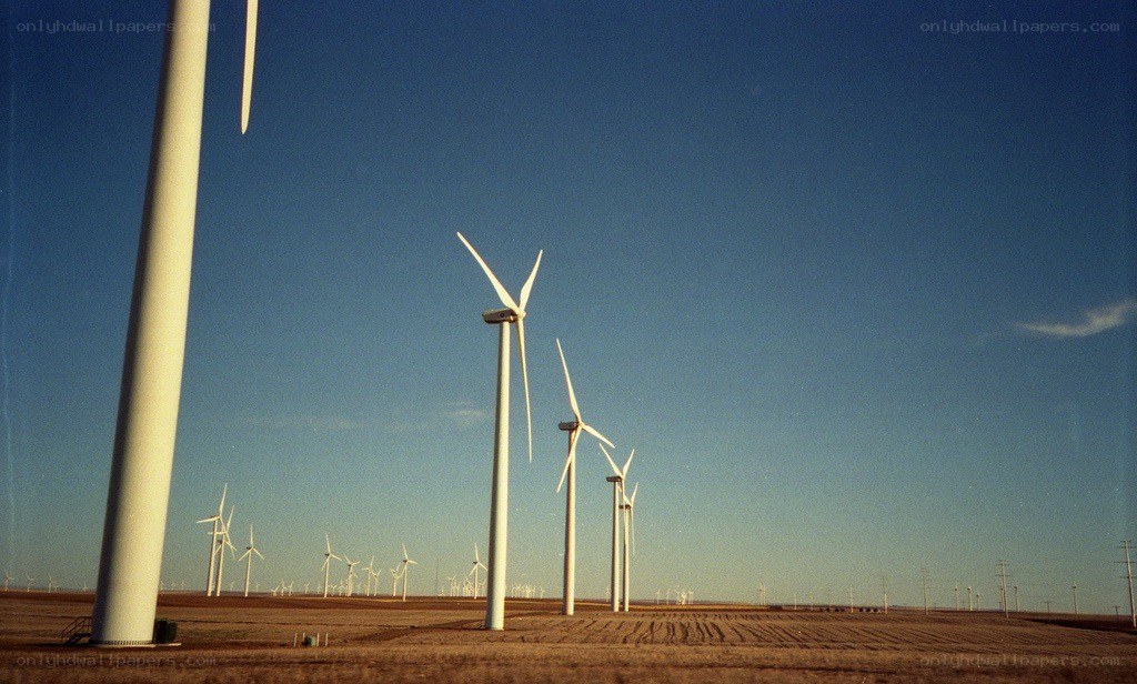 Wind turbines in a field