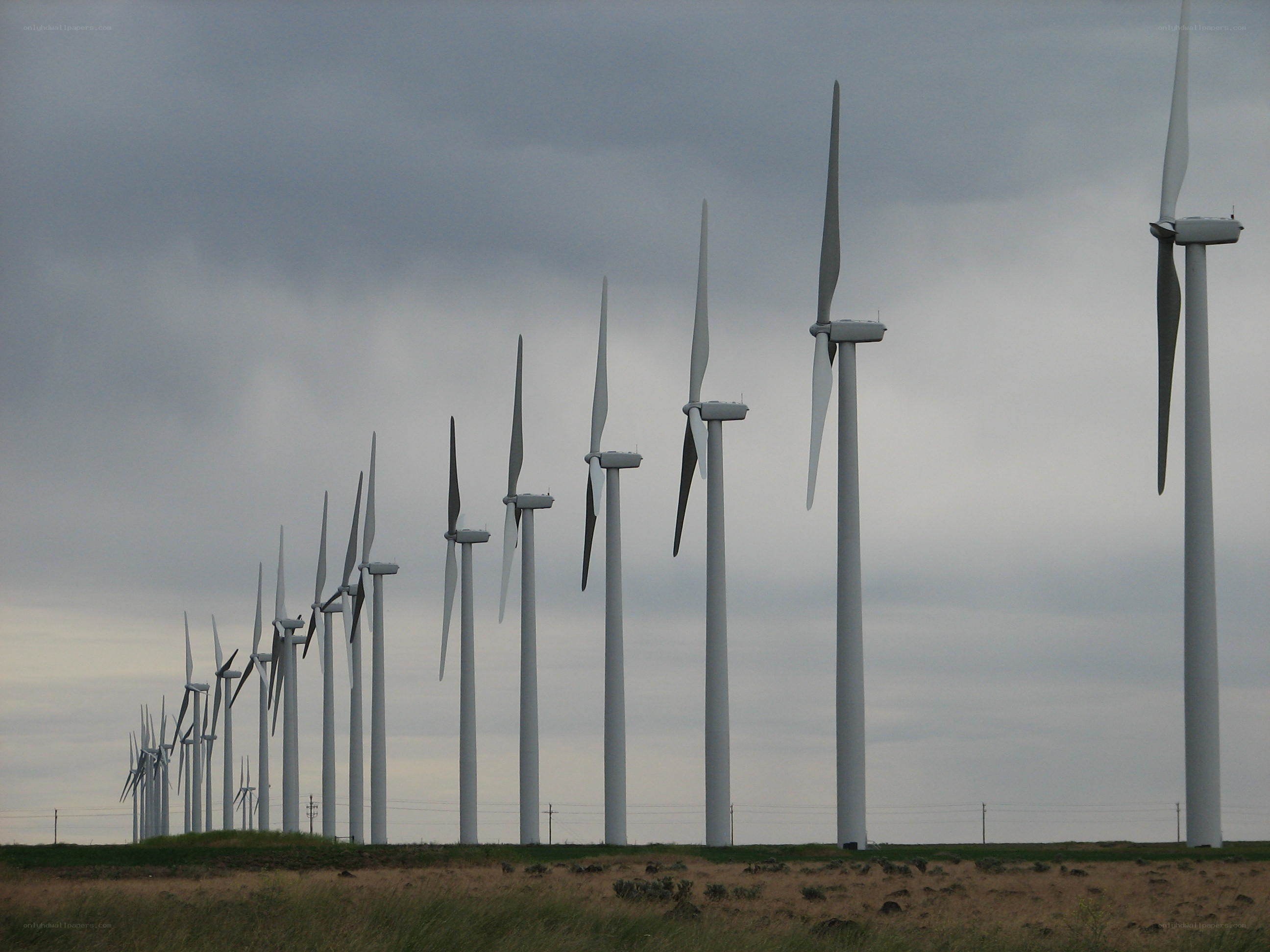 Wind turbines in a field