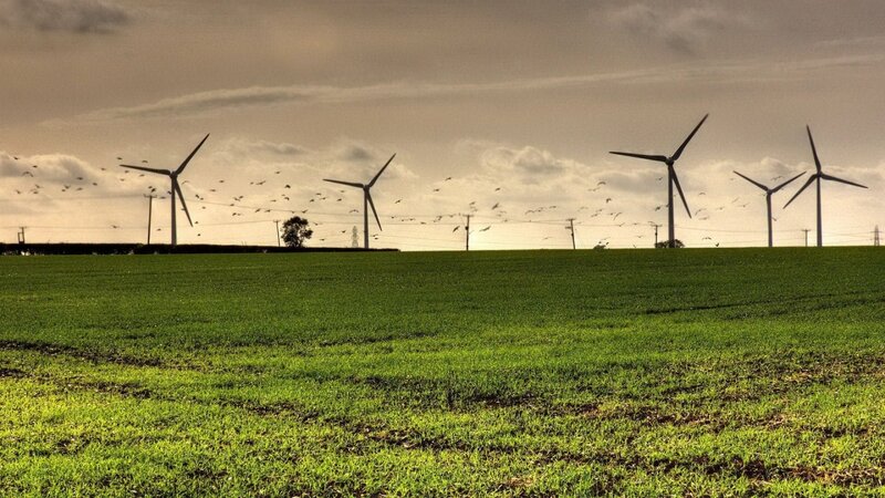 Wind turbines in a green field