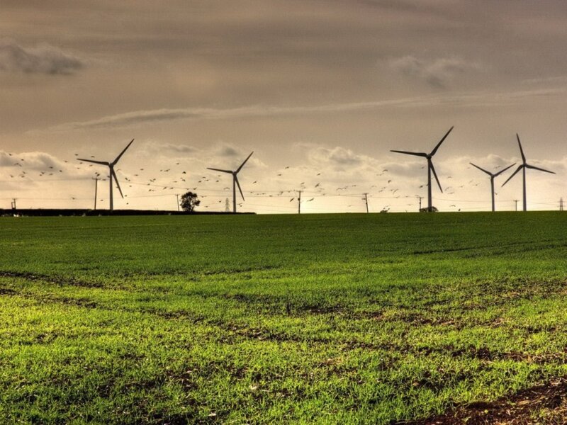 Wind turbines in a green field