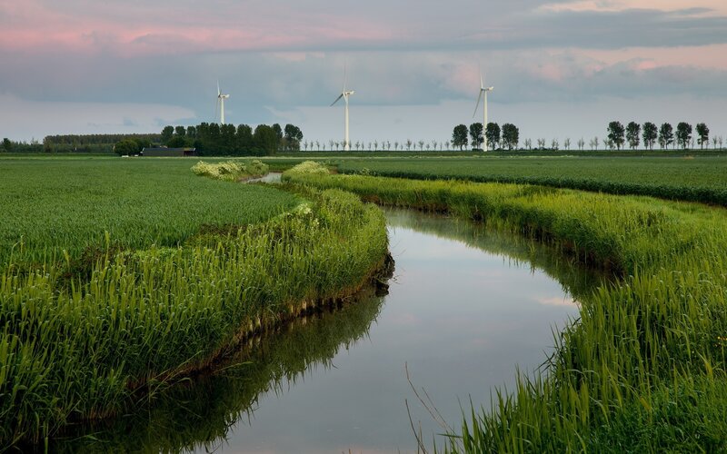 Wind turbines in a green field