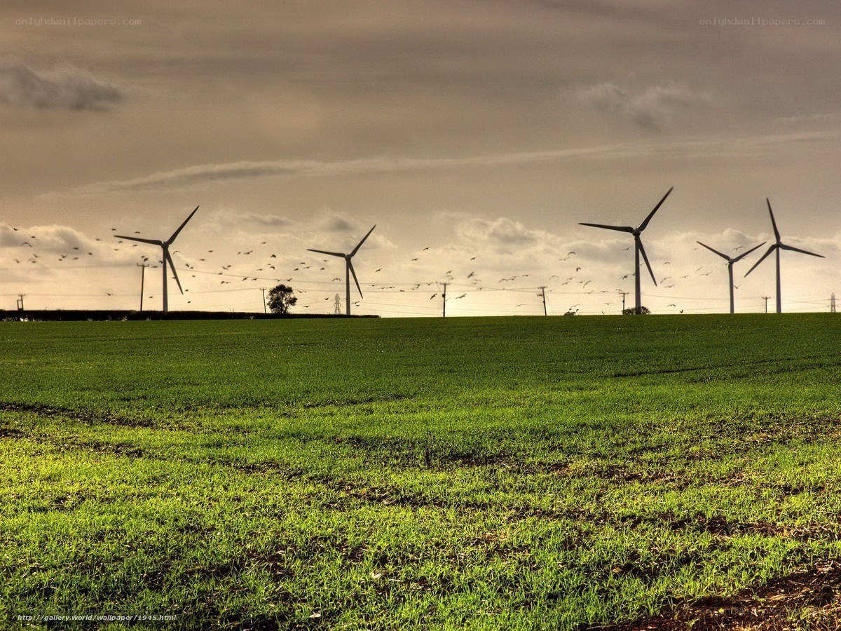 Wind turbines in a green field