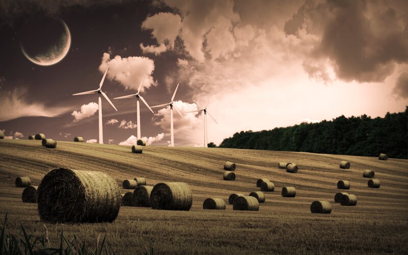 Wind turbines in a hay field