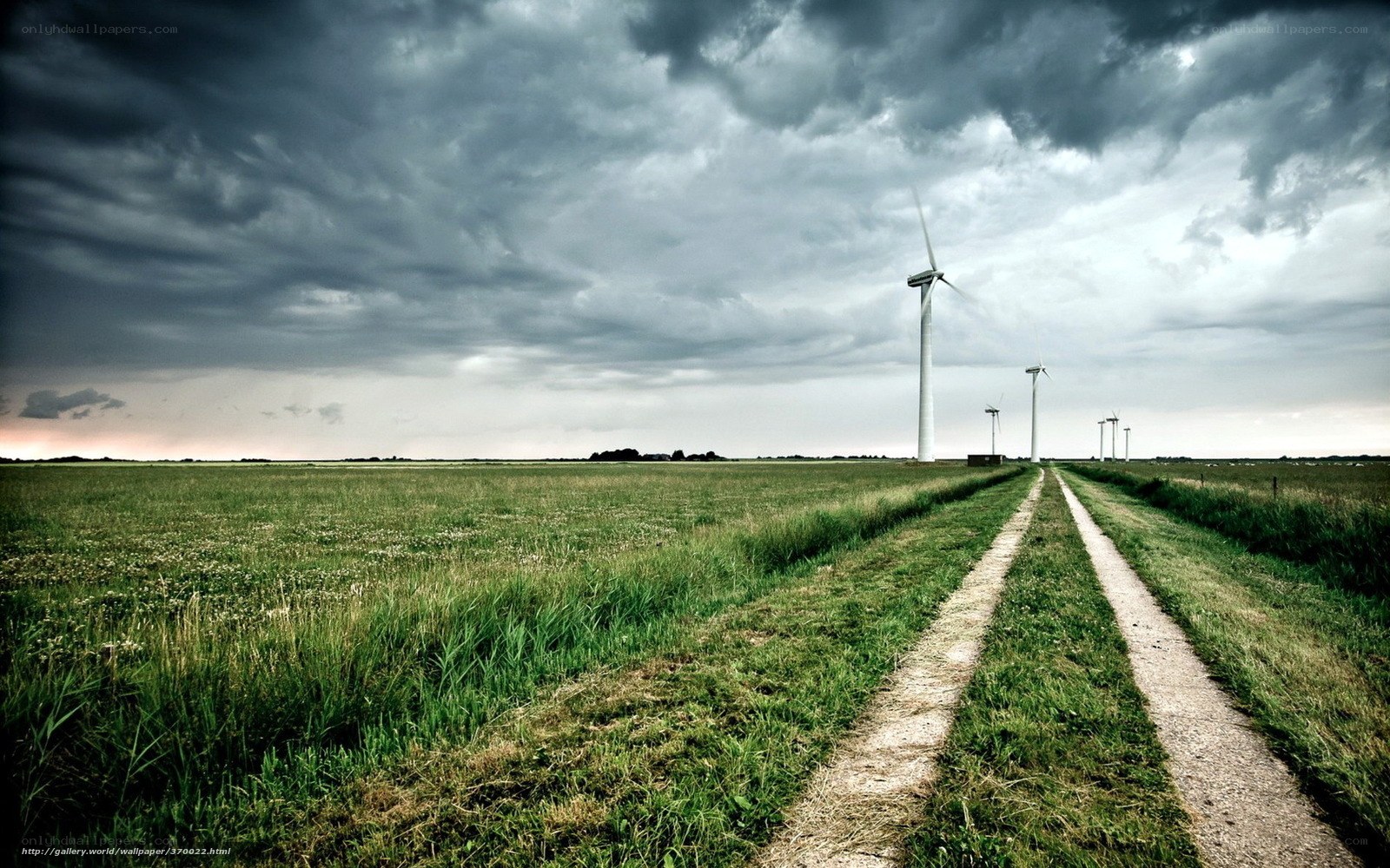 Wind turbines in a stormy field