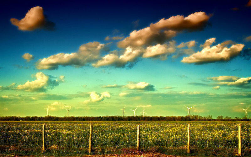 Wind Turbines in Field — Blue, Dramatic