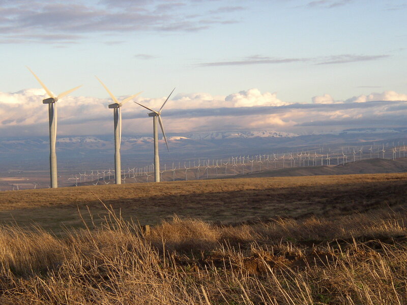 Wind Turbines in Field — Brown, Serene