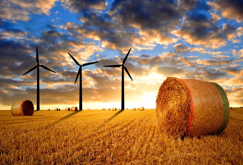 Wind Turbines in Field — Gold