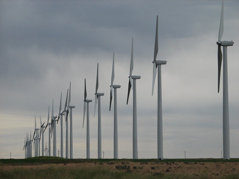 Wind Turbines in Field — Gray