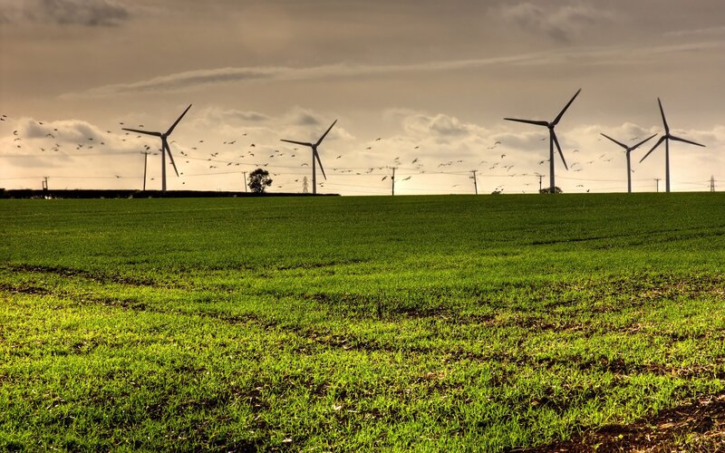 Wind Turbines in Field — Green, Dramatic, Afternoon, Photograph, Birds, Clouds, Gray