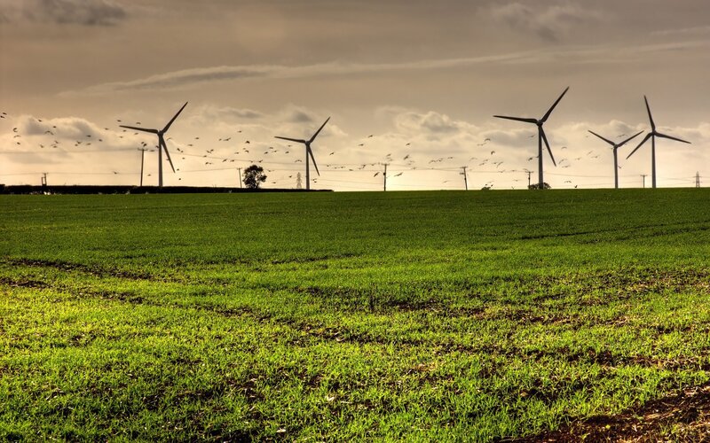 Wind Turbines in Field — Green, Dramatic, Afternoon