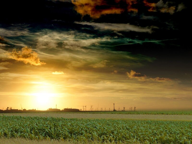 Wind Turbines in Field — Green, Dramatic, Sunset