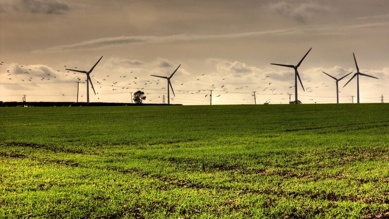 Wind Turbines in Field — Green, Dramatic