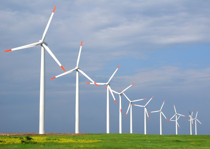 Wind Turbines in Field — Green, Serene, Afternoon, Photograph, Grass
