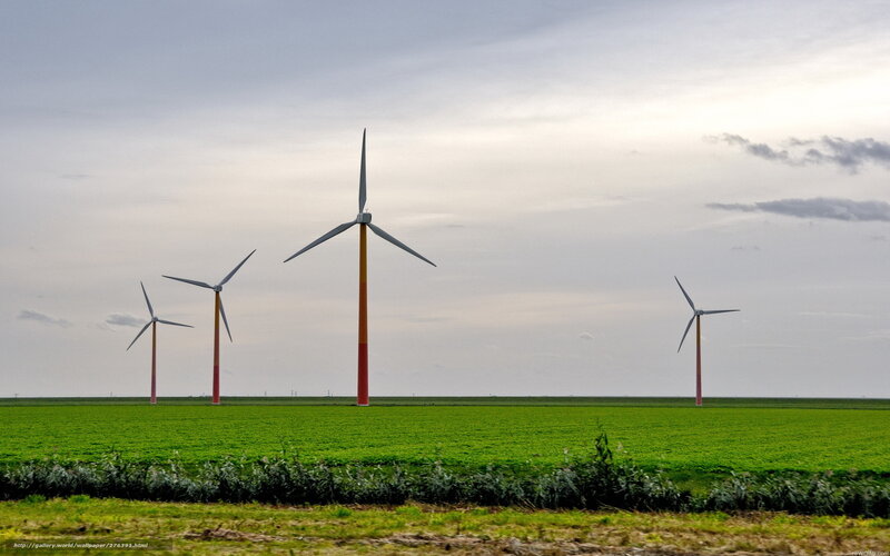 Wind Turbines in Field — Green, Serene, Afternoon, Photograph, Sky
