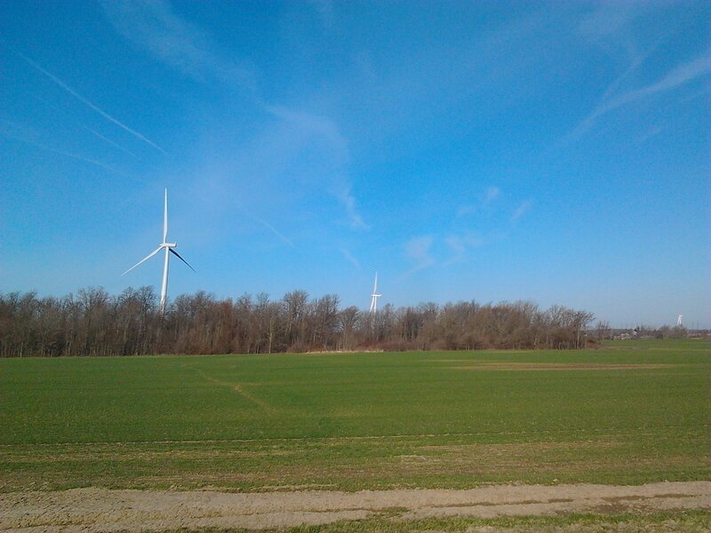 Wind Turbines in Field — Green, Serene, Afternoon, Photograph