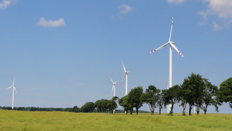 Wind Turbines in Field — Green, Serene, Afternoon, Photograph, Trees, Sky