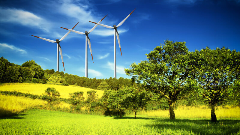 Wind Turbines in Field — Green, Serene, Afternoon, Photograph, Trees