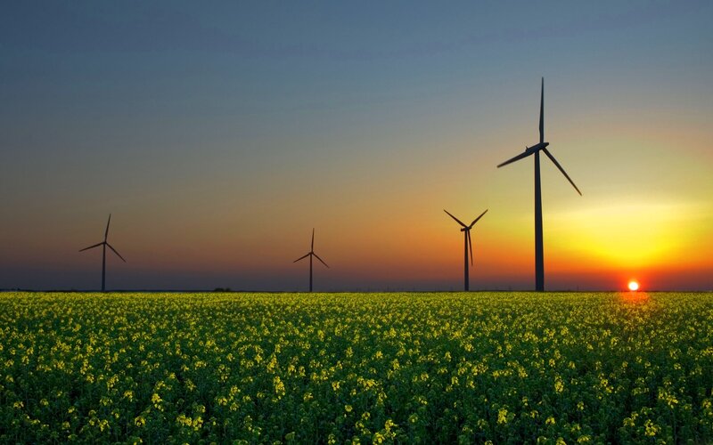 Wind Turbines in Field — Yellow