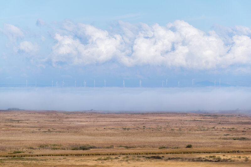 Wind Turbines in Fog — Blue