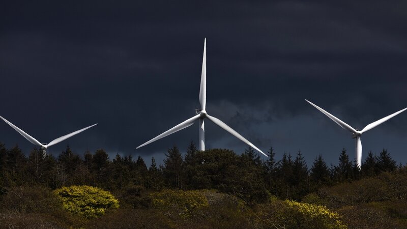 Wind Turbines in Forest