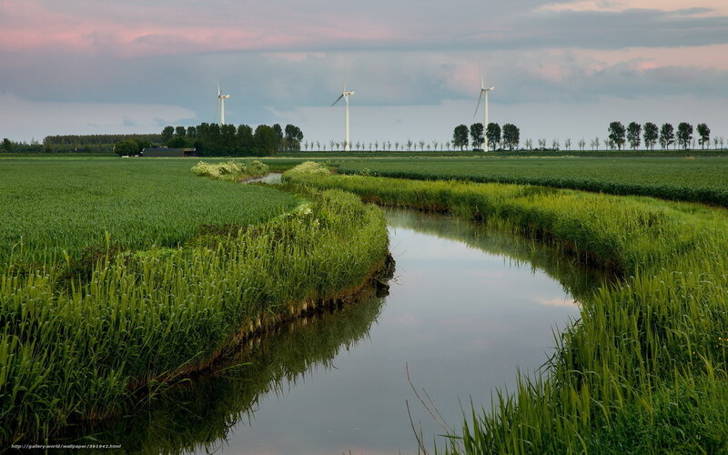 Wind turbines in green fields