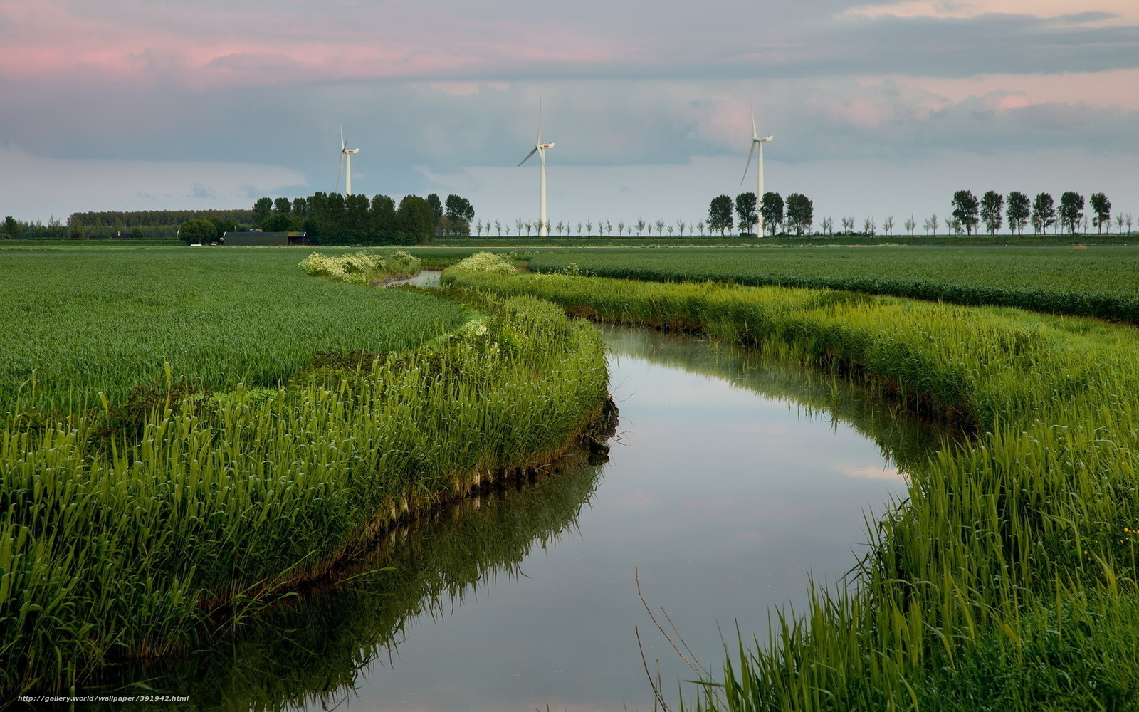 Wind turbines in green fields