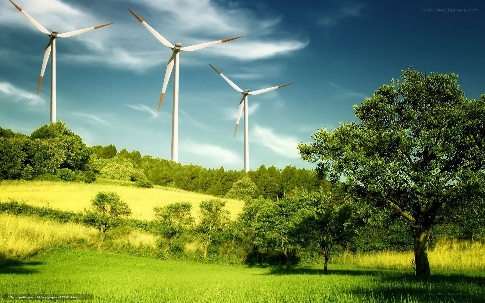 Wind turbines in green landscape