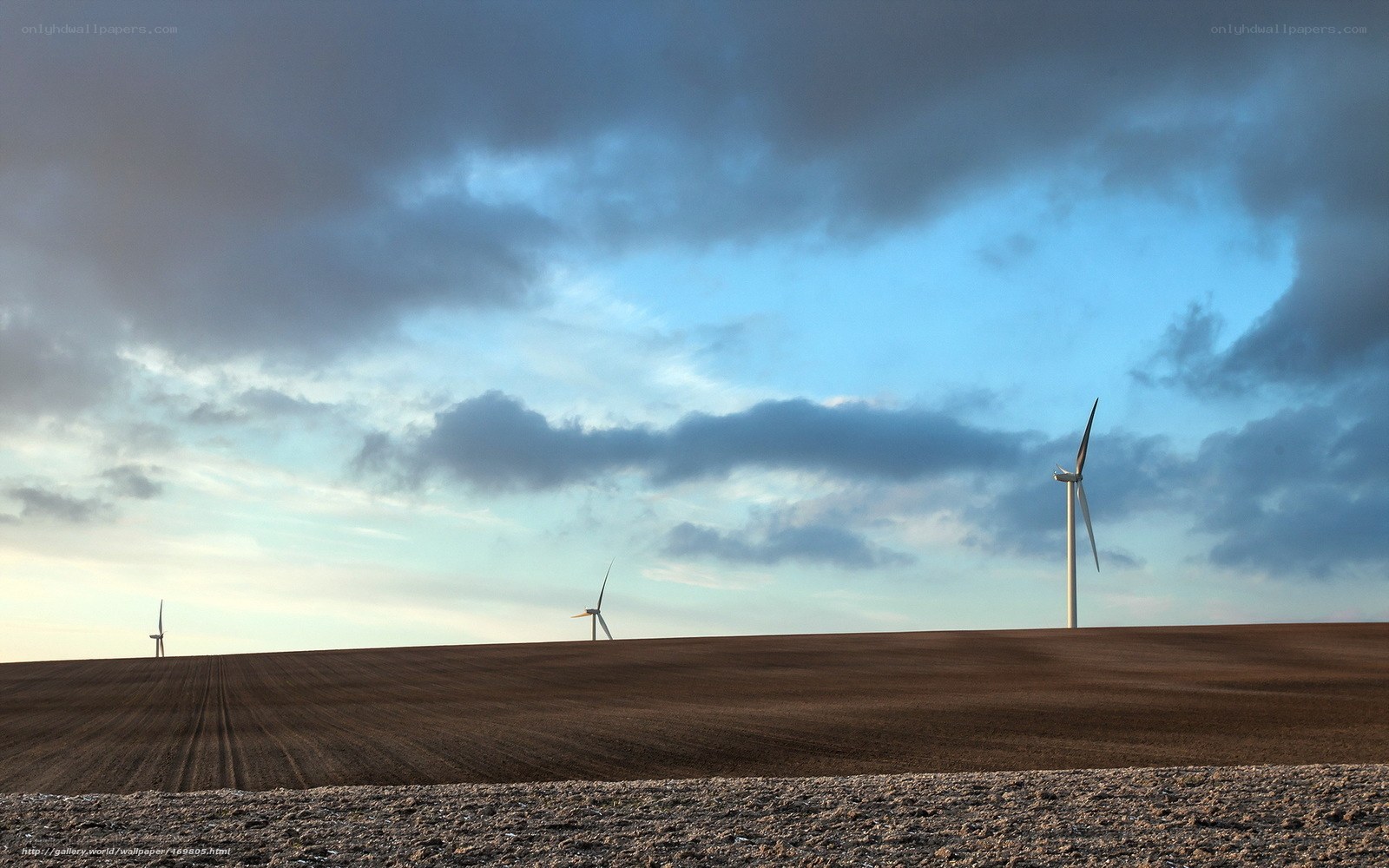 Wind turbines on a field