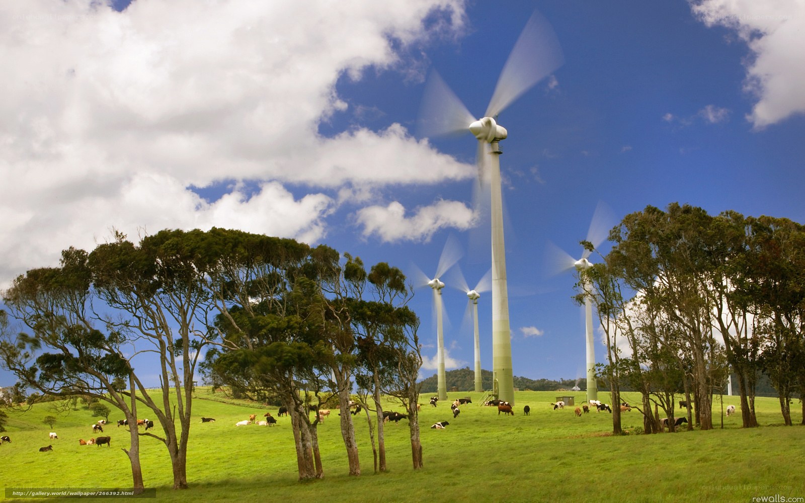 Wind turbines on a green pasture