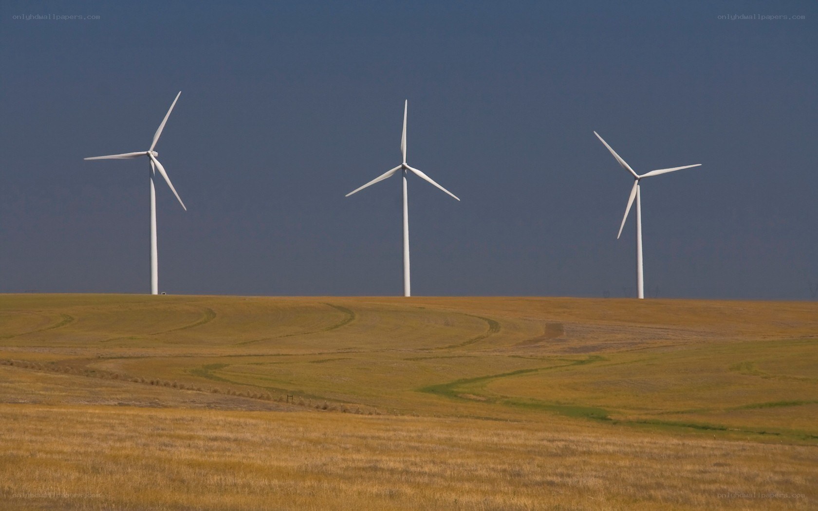 Wind turbines on a hill