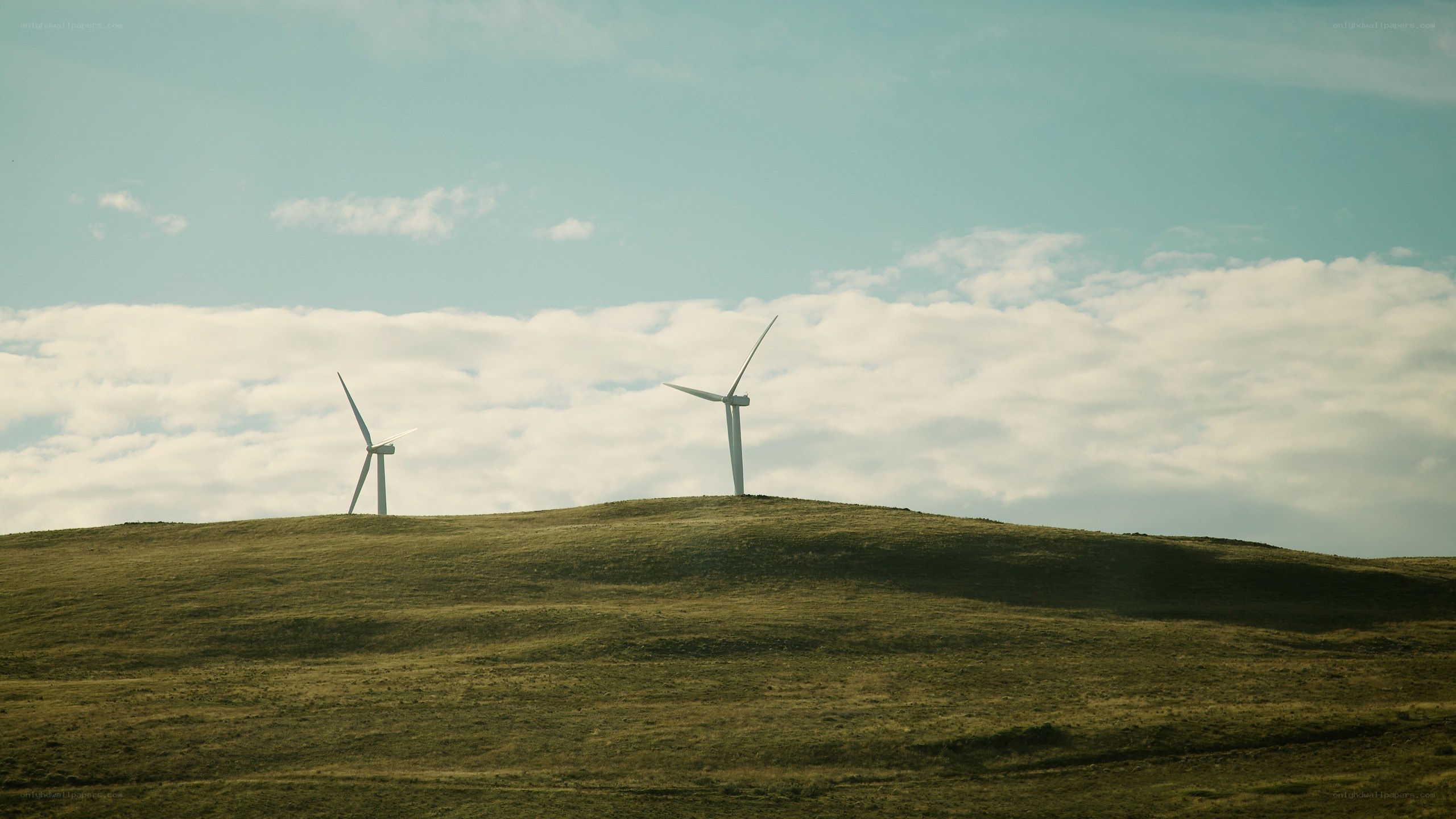 Wind turbines on a hill
