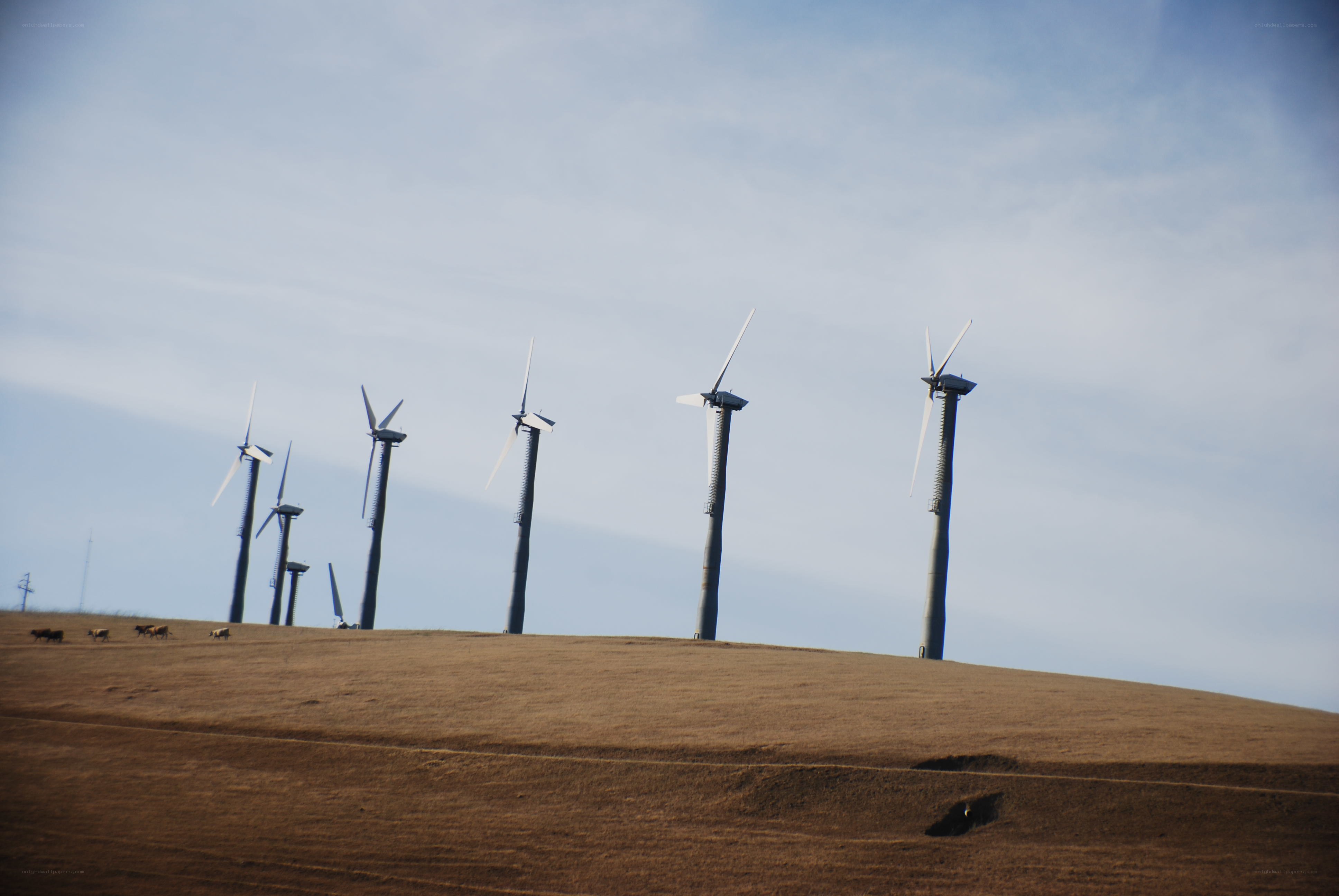 Wind turbines on a hillside