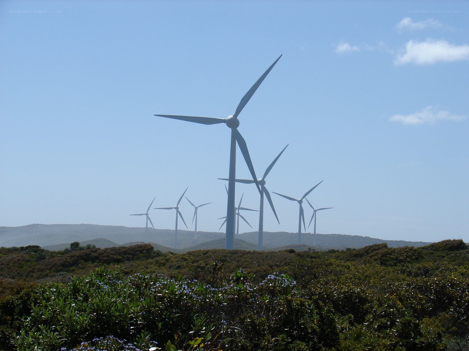 Wind turbines on a hillside