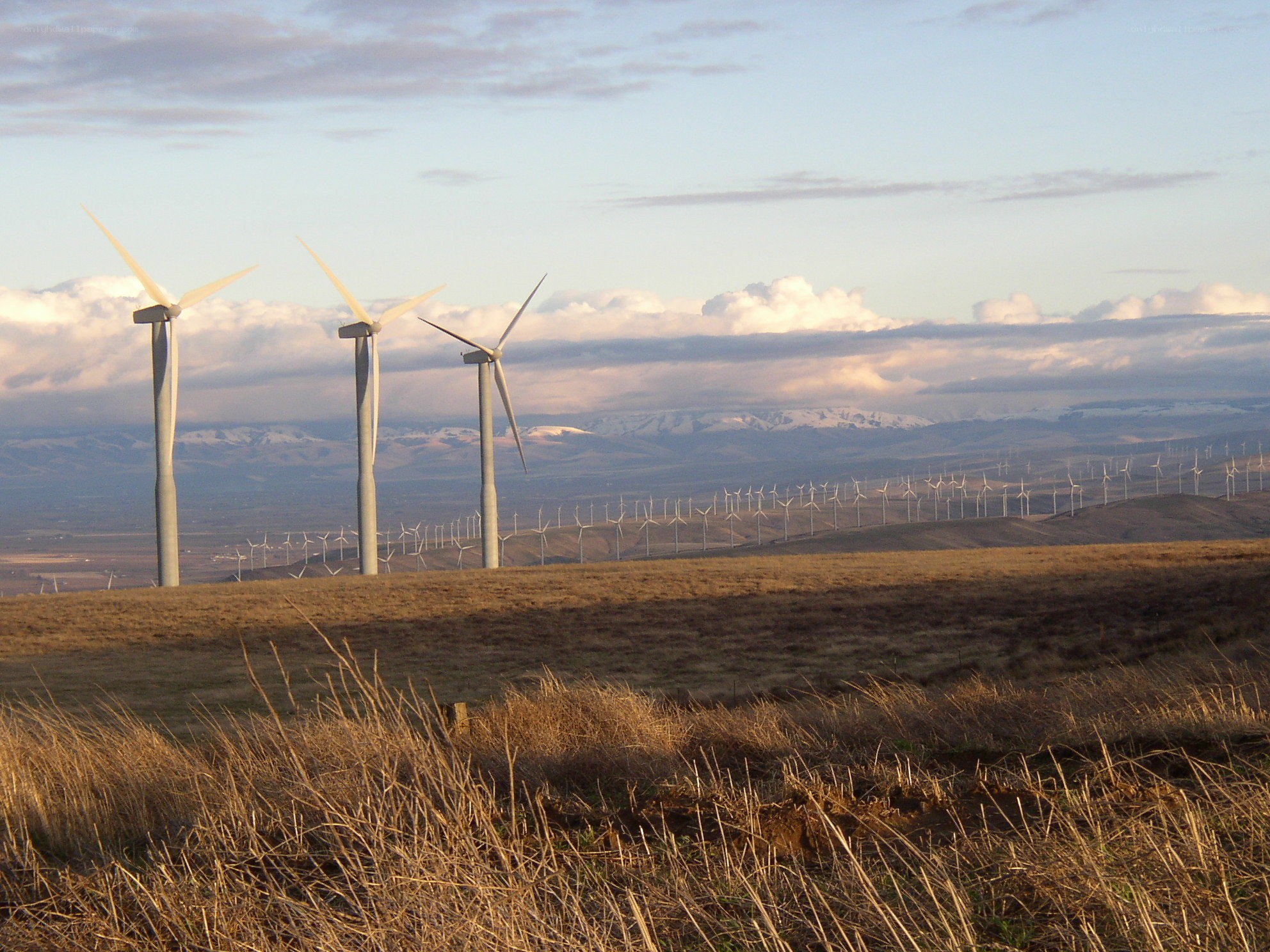 Wind turbines on a hillside