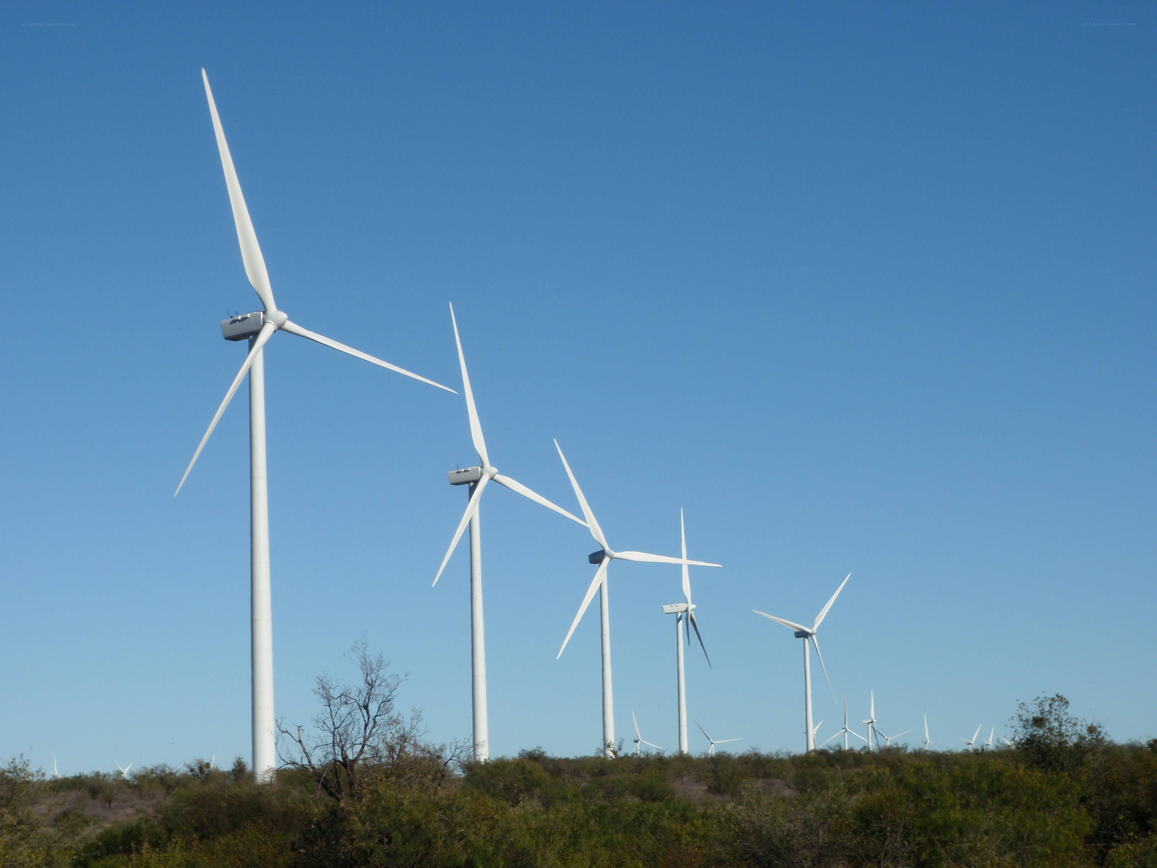 Wind turbines on a hillside