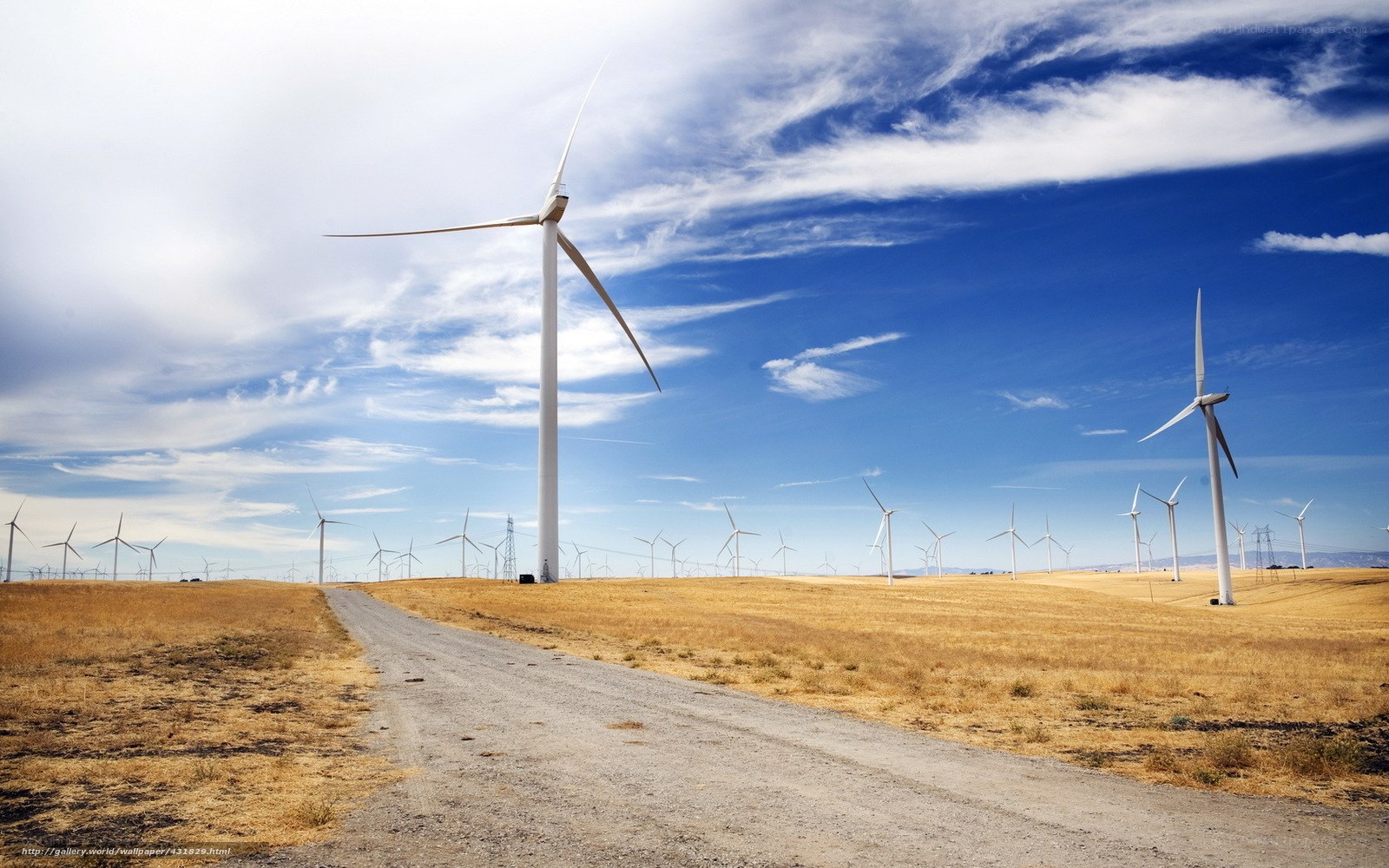 Wind turbines on a sunny day