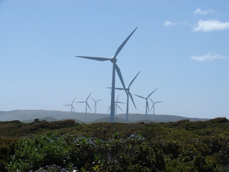Wind Turbines on Hillside — Blue, Serene, Afternoon