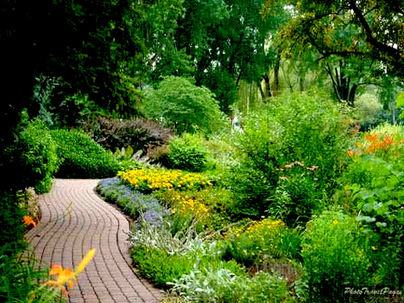 Winding Brick Path in Garden