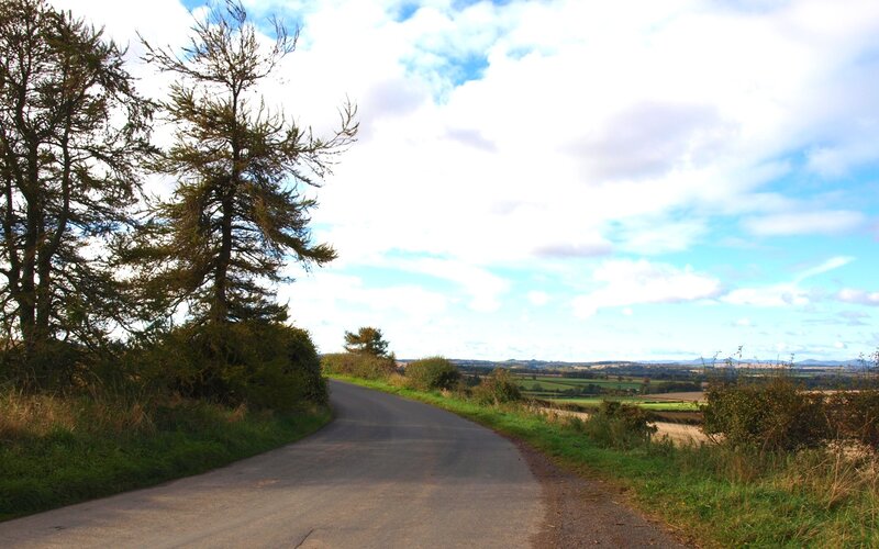 Winding Country Road — Green, Serene, Afternoon, Photograph