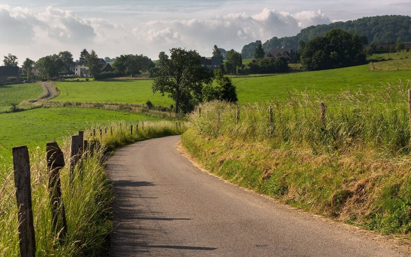 Winding Country Road — Green, Serene