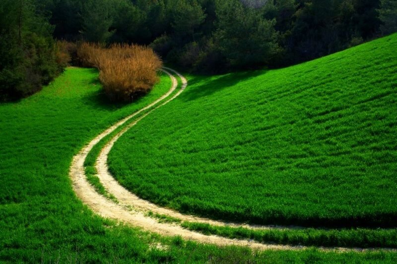 Winding Dirt Path — Green, Serene, Afternoon, Photograph, Grass