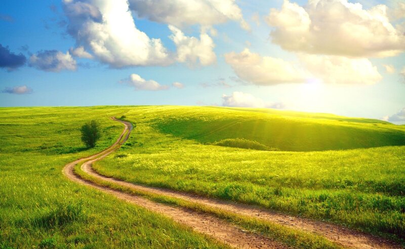 Winding Dirt Path — Green, Serene, Afternoon, Photograph, Green Hills